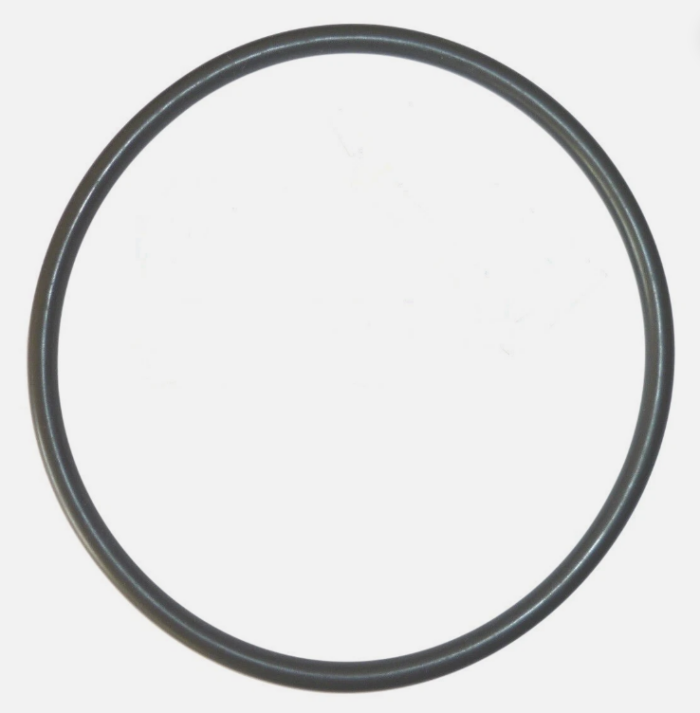 EUROSWIM FILTER COVER LID & ORING- CERTIKIN